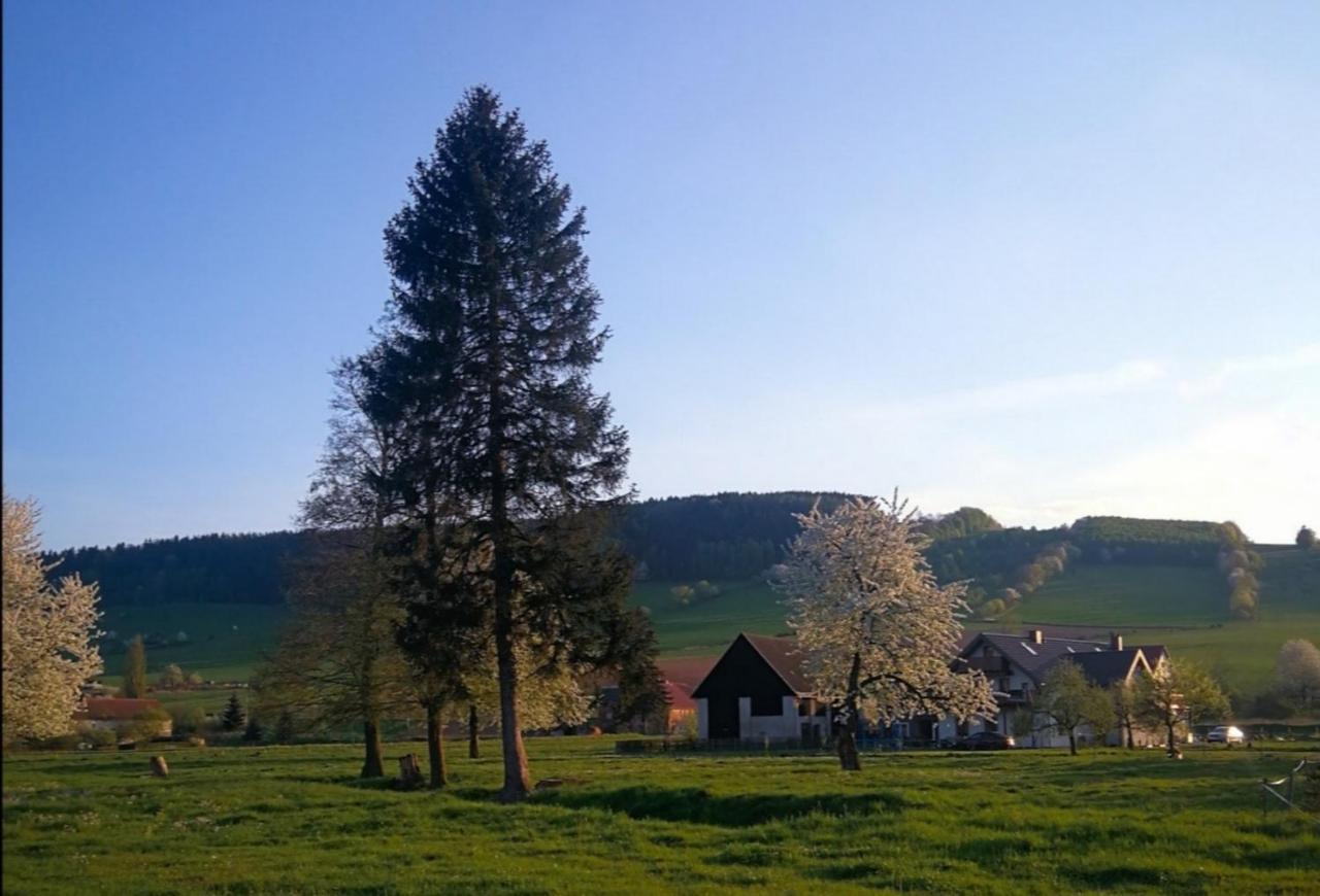Agroturystyka U Kasi Scinawka Gorna Zewnętrze zdjęcie