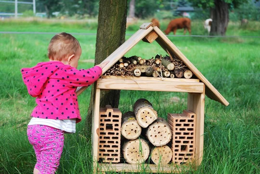 Agroturystyka U Kasi Scinawka Gorna Zewnętrze zdjęcie