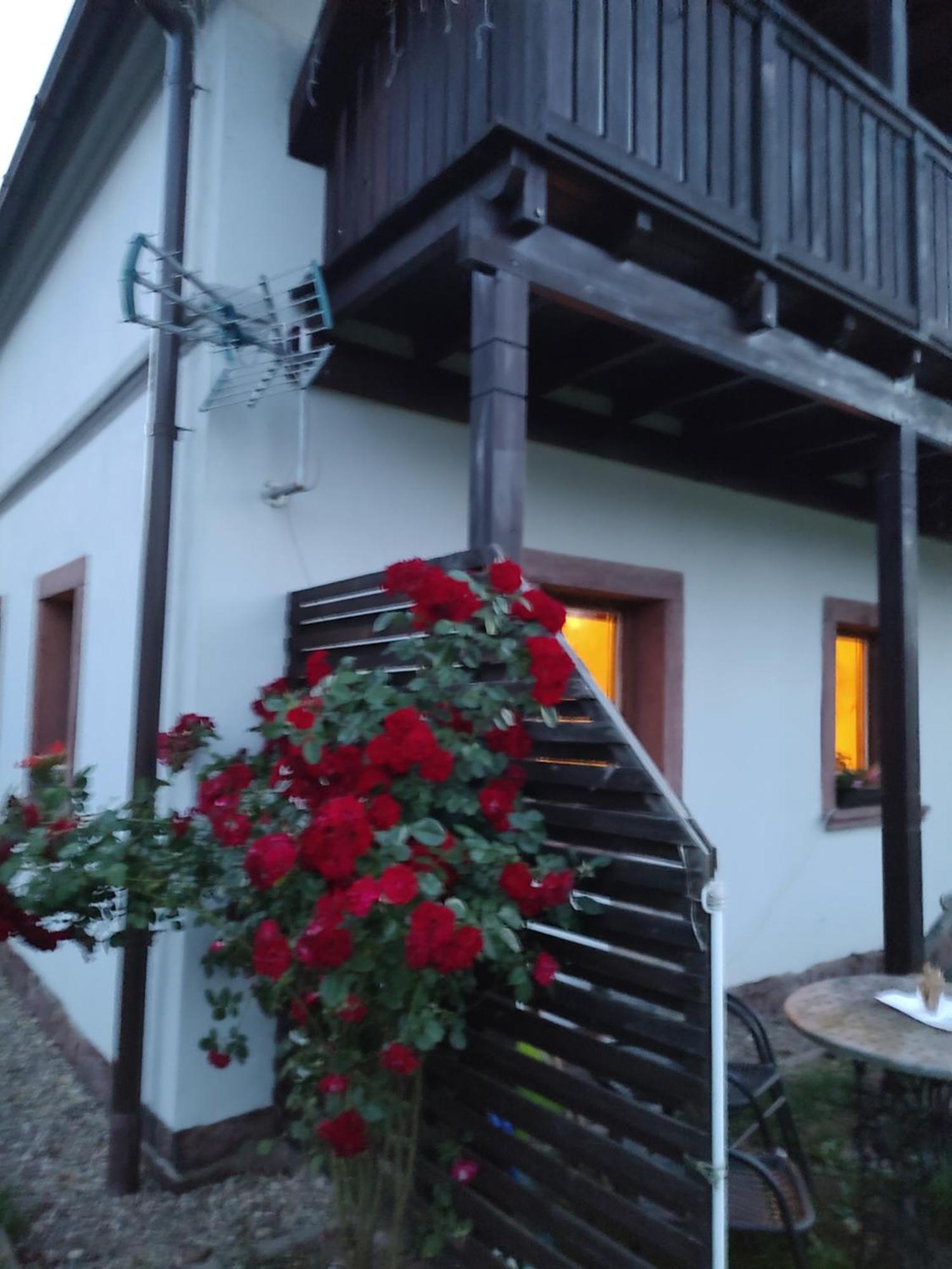 Agroturystyka U Kasi Scinawka Gorna Zewnętrze zdjęcie