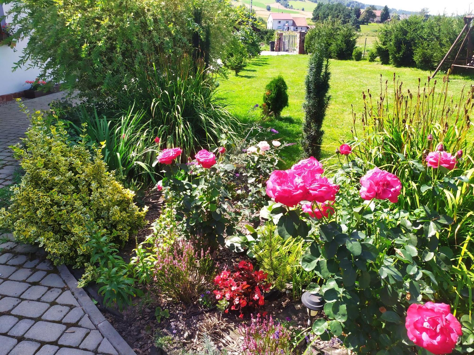 Agroturystyka U Kasi Scinawka Gorna Zewnętrze zdjęcie